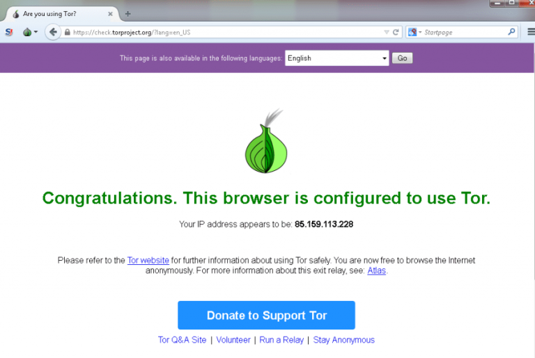 what is tor browser program