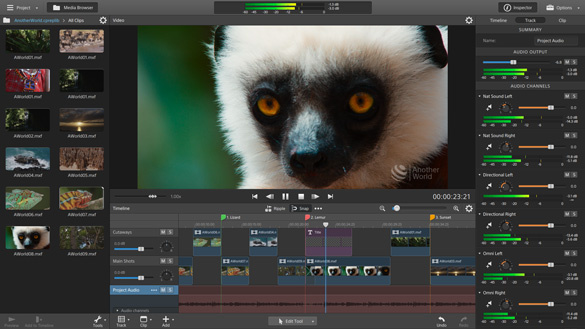 Sony Catalyst Production Suite latest version